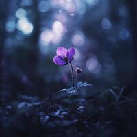 delicate purple flower stands out in dark forest, illuminated by soft light, creating serene and enchanting atmosphere photo