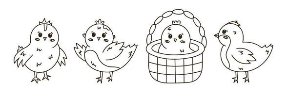 Line doodle set with lovely chick in different poses. Young baby chicken waving hello with wings, in the basket, side view. Scribble hand drawn farm bird as symbol of Easter isolated on background. vector