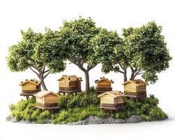 Discover the serene beauty of a miniature beehive village nestled amidst lush greenery and towering trees, a captivating display of nature's harmony This meticulously crafted scene transports you to photo