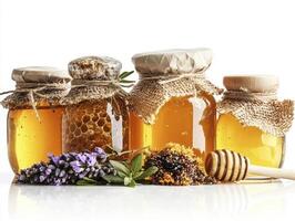 Golden Elixir A Captivating Still Life of Honey Jars, Unveiling Nature's Sweetness and Healing Properties Discover the Richness of Natural Honey, from Golden Nectar to Lavender Infusions, in this photo