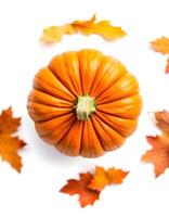 Pumpkin Still Life with Autumn Leaves, Flat Lay on White Background photo