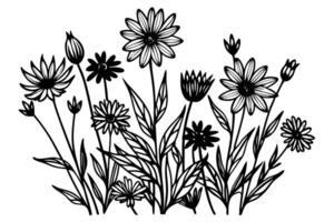 A Black and white floral design for coloring or printing. vector