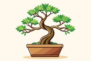 A bonsai tree in a pot. vector