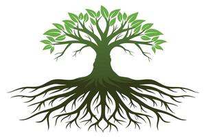 Strong Roots, Reaching Skyward A Powerful Tree Illustration vector