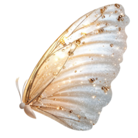 Glittering white butterfly wing with gold accents and delicate sparkles png