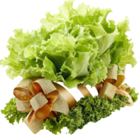 green lettuce bunch tied with rustic twine png