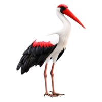 Elegant Stork with Red Beak and Black-White Feathers Displayed png