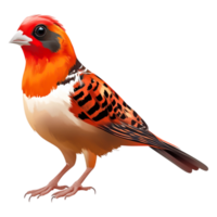 Brightly Colored Bird Perched Branch with Vivid Features png