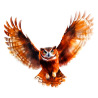 Majestic Brown Owl with Outstretched Wings in a Dynamic Flight Pose png