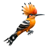 Vibrant Orange Bird with Unique Crest Perched Against Clear Background png