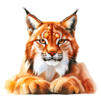 Striking Portrait of a Lynx with Captivating Eyes and Fur Texture png