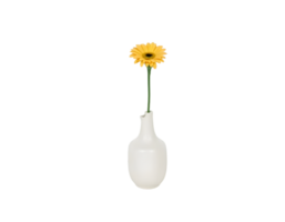 White vase with yellow flower isolated on transparent background png