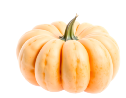 Pumpkin isolated on a transparent background png