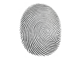 impressão digital isolado em transparência fundo, exibindo único padrões e detalhes png