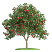 Lush Apple Tree with Ripe Red Apples png
