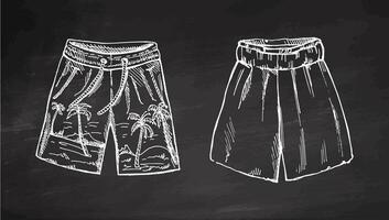 Hand drawn monochrome swim trunks and shorts with tropical design on chalkboard background vector