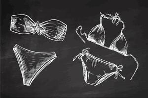 Hand drawn monochrome bikini set with starfish and string details on chalkboard background vector