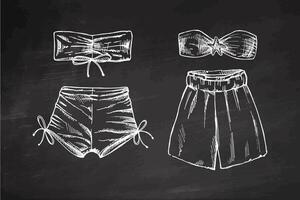 Hand drawn monochrome swimwear set with shorts and bikini on chalkboard background vector