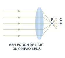 An InDepth Explanation of the Reflection of Light on a Convex Lens and Its Mechanisms vector