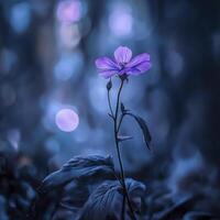 delicate purple flower stands tall in mystical forest, illuminated by soft glowing lights, creating serene and enchanting atmosphere photo