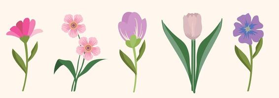 Floral set with delicate spring flowers in soft pastel colors and botanical design. Floral poster, invitation. compositions for greeting card. vector