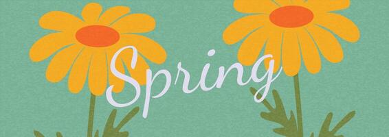 Spring floral illustration with yellow daisies and elegant typography on a green background. Minimalist abstract nature art shapes collection. Pastel color design vector