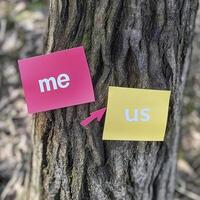 Two sticky notes on tree, one pink and other yellow, expressing connection and togetherness photo