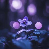 purple flower growing in forest, surrounded by soft glowing lights, creates serene and enchanting atmosphere photo