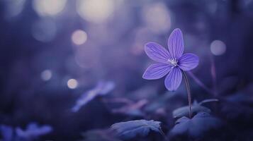 delicate purple flower growing in forest, surrounded by soft bokeh photo
