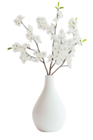White Vase With Delicate White Blossoms On Transparent Background png