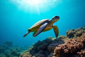 Majestic Green Sea Turtle Swimming over Vibrant Coral Reef in Ocean photo