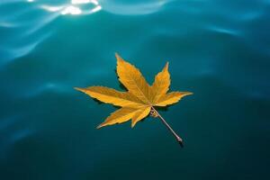 Serene Autumn Leaf Floating on Teal Water Nature Photography photo