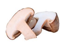 A small heap of shiitake mushroom in halves isolated with clipping path in file format png