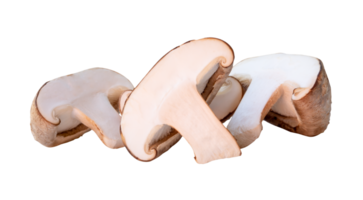 Slices of shiitake mushroom in halves in pile isolated with clipping path in file format png