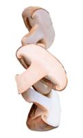Slices of shiitake mushroom in halves isolated with clipping path in file format png