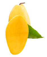 Ripe yellow mango fruit with half and green leaf in stack isolated with clipping path in file format png