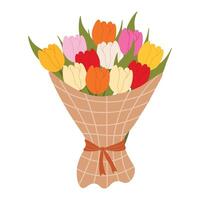 Bouquet of coloured tulips wrapped in decorative paper, tied with a ribbon. Floral illustration in a soft, elegant style for spring holidays and Mother's Day vector