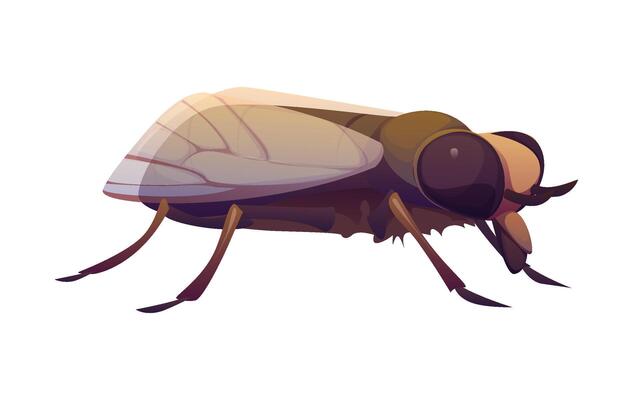Cartoon gadfly insect character with large eyes