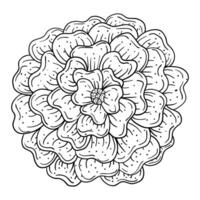 a flower coloring page with a large flower vector