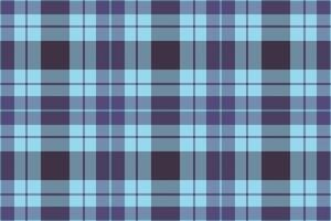 Elegant blue and purple plaid pattern. Perfect for textile design, website backgrounds, or fashion projects. This seamless texture evokes feelings of sophistication and calm. vector
