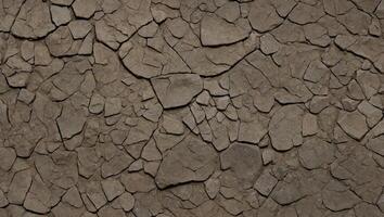 a close up of a wall with cracks and dirt photo