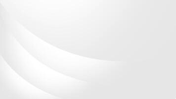Clean Minimalistic White Abstract Background with Flowing Curved Lines vector