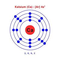 Bohr model of the Calcium atom. electron structure of Calcium vector