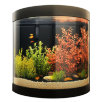 Rectangular Aquarium with Colorful Plants and Fish on Transparent Background png