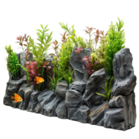 Aquarium Fish Tank with Rocks and Plants on Transparent Background png