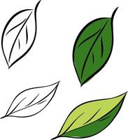 Eco green leaf illustration graphic line ink illustration set. set of elements isolated on transparent background ideal for nature-themed designs and eco-friendly projects vector