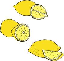 Lemons composition graphic line ink set. illustration isolated on transparent background. for menu and package designs. vector
