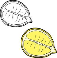 Lemon half sliced citrus. Graphic line ink illustration set. Isolated. Collection of lemon fruit in hand drawn doodle style vector