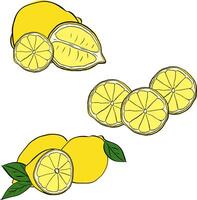Lemons composition set, graphic line ink illustration. isolated whole and slices citrus with leaves on transparent background vector