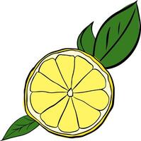 Lemon slice with green leaves composition. Graphic line ink illustration isolated on transparent background. ideal for menu and package designs. vector